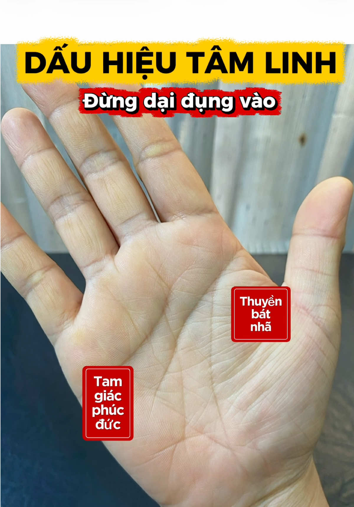 @VẬN MỆNH RADIO