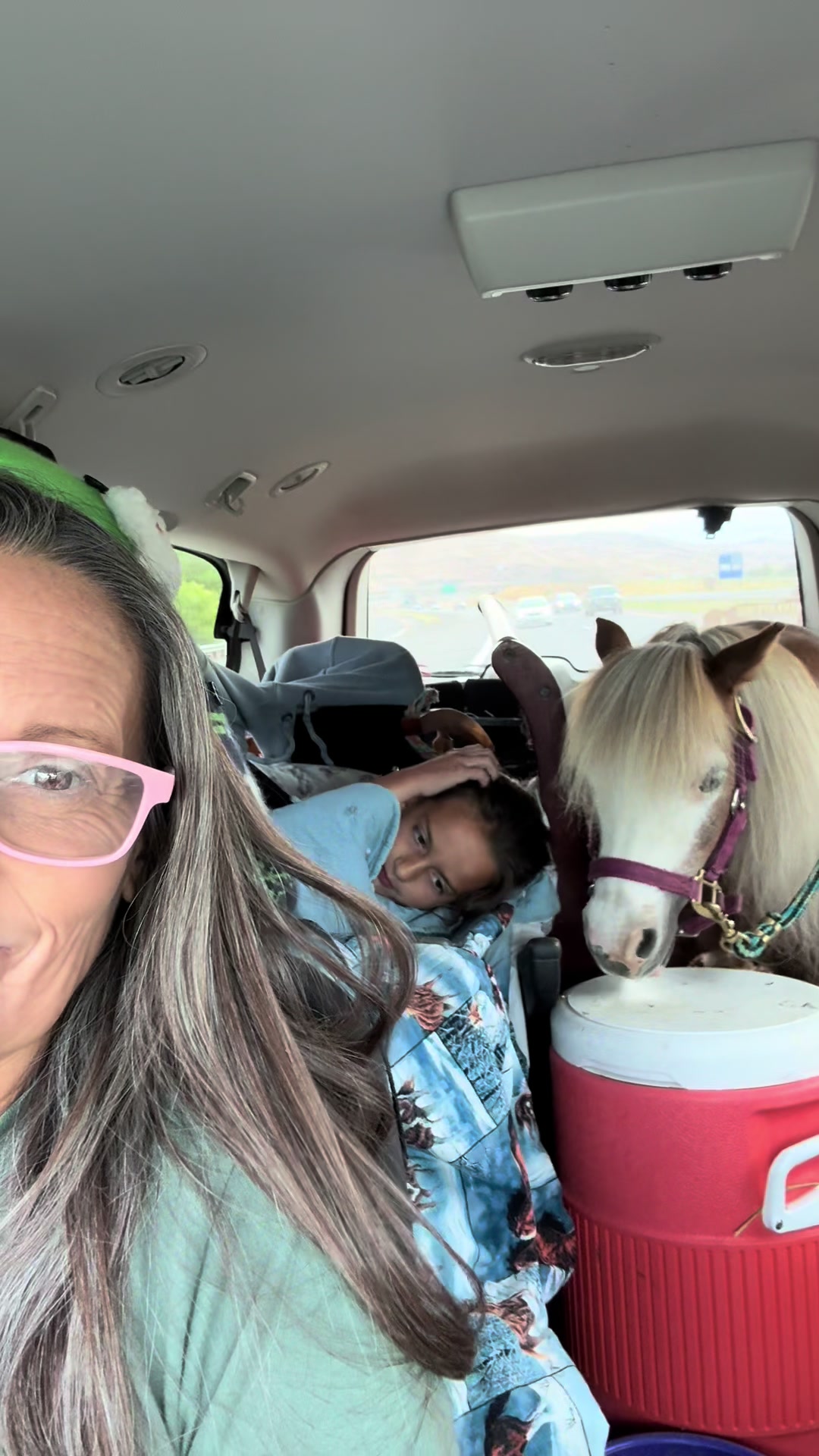 @Hot Sauce the Mini horse 🐎