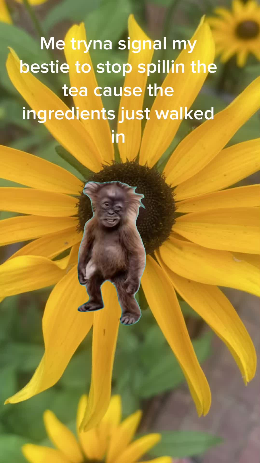 @Cindy DelMarco