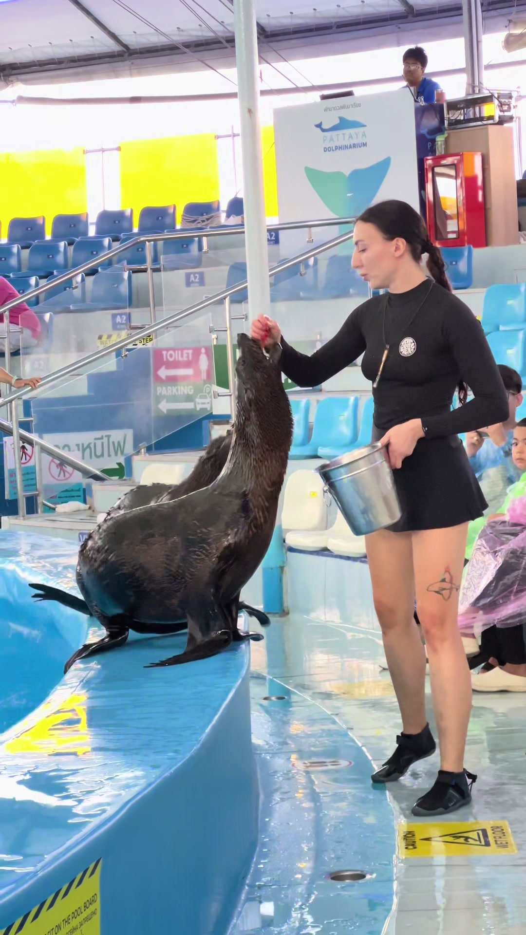 @Pattaya Dolphinarium