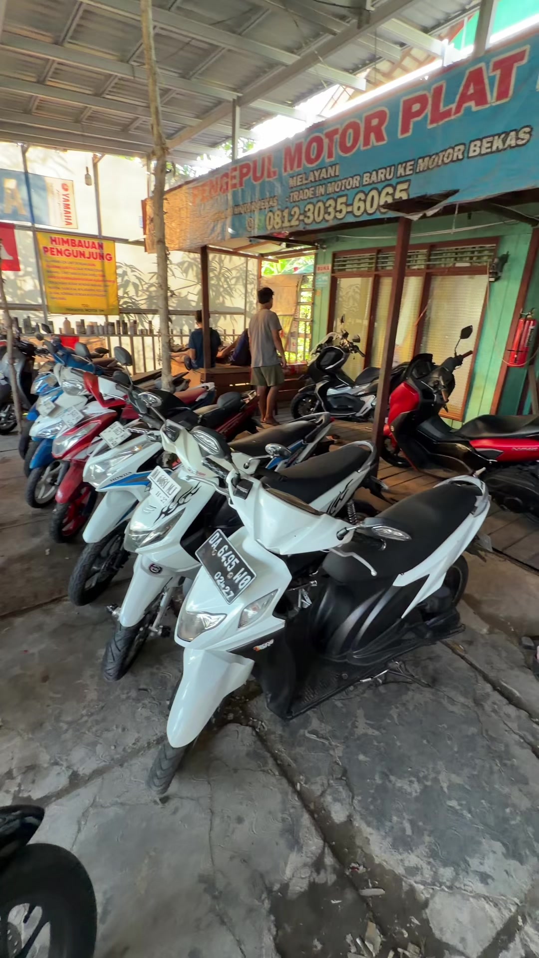 @pengepulmotortim