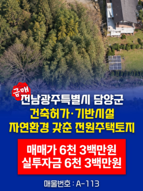 @부동산 전문가 박미란