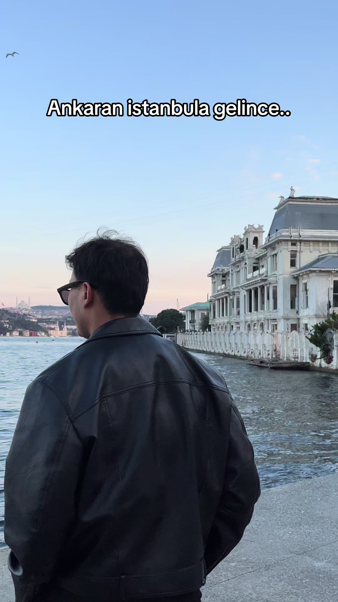 @halitlendik