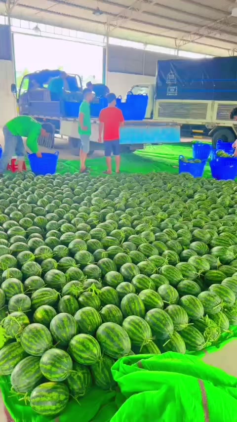 @Thuý Nga ✅