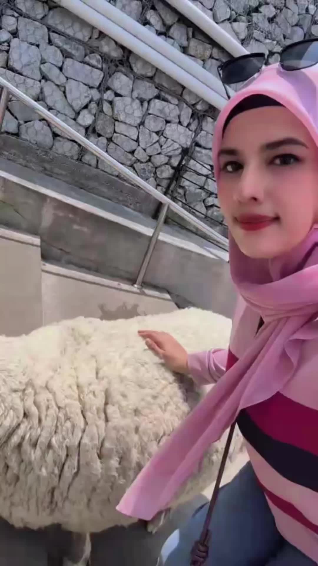 @Eira Eidora