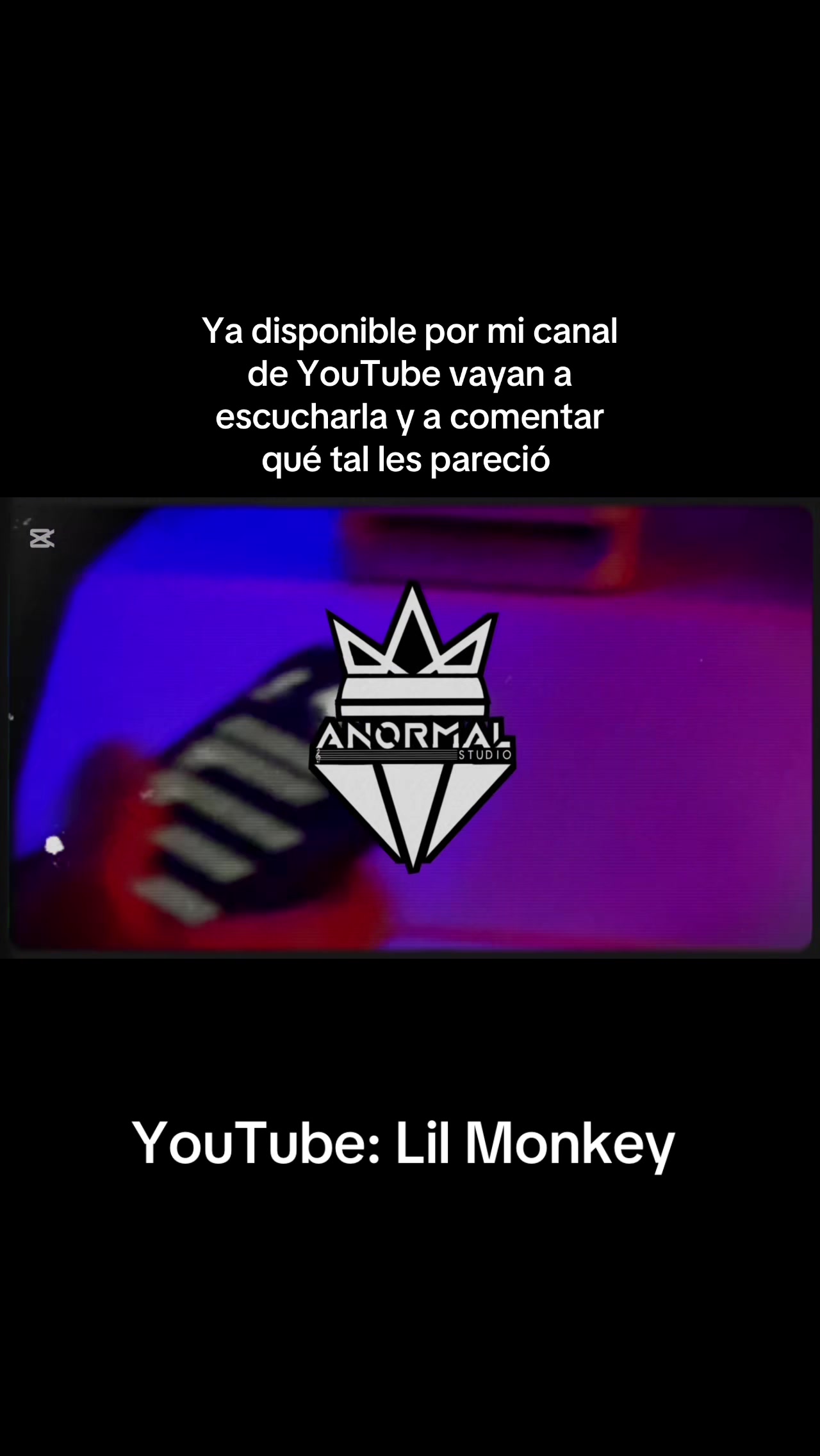@Lil Monkey🎙️