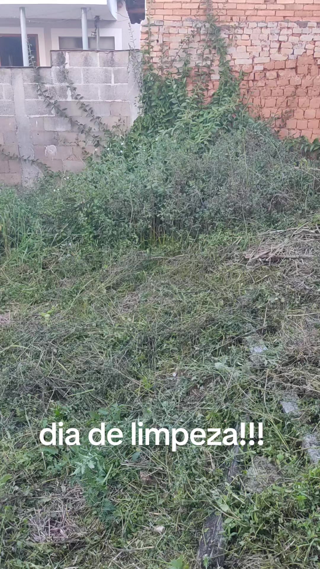 @mariamarciaoliv57