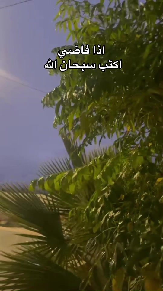 @هيـــّــآف 𓃚