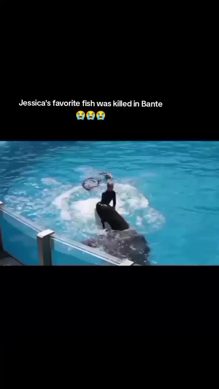@@Ani 123🇮🇩