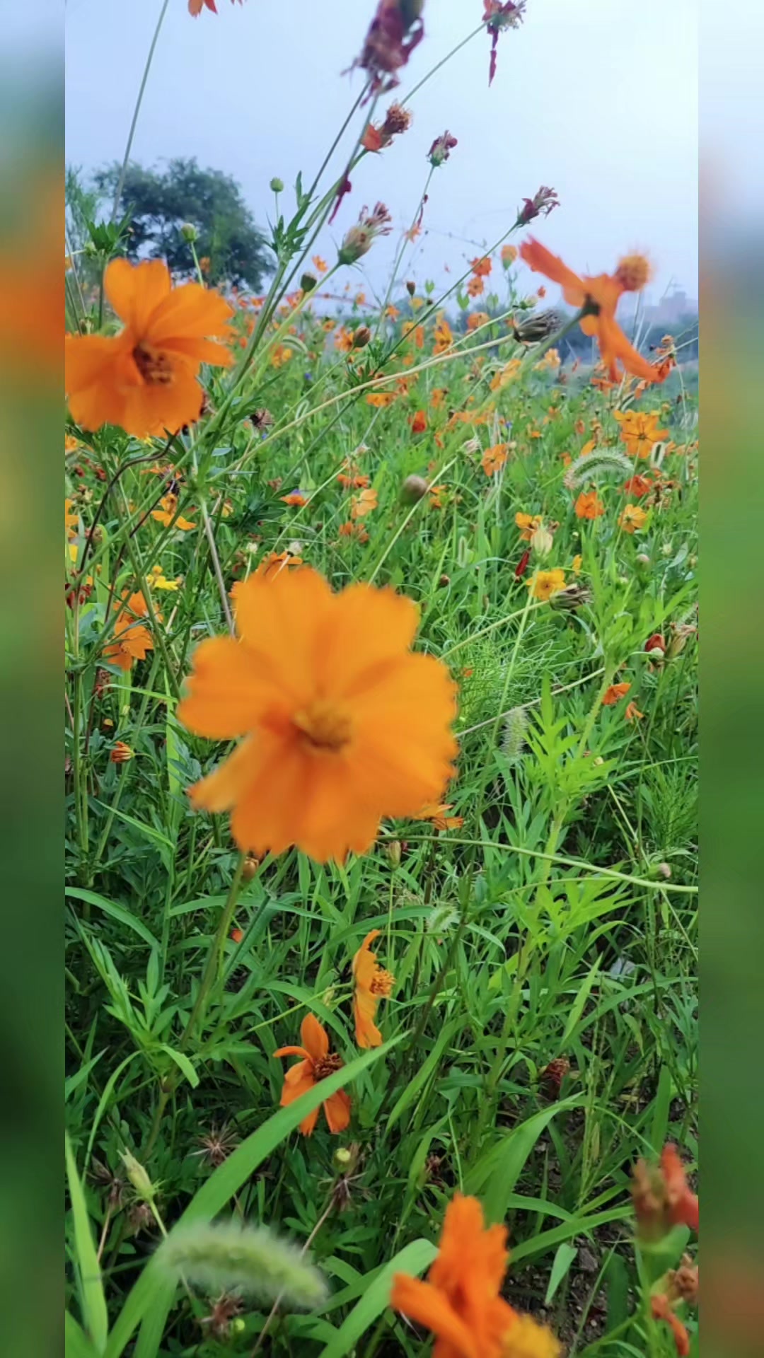 @종합부동산개발대표