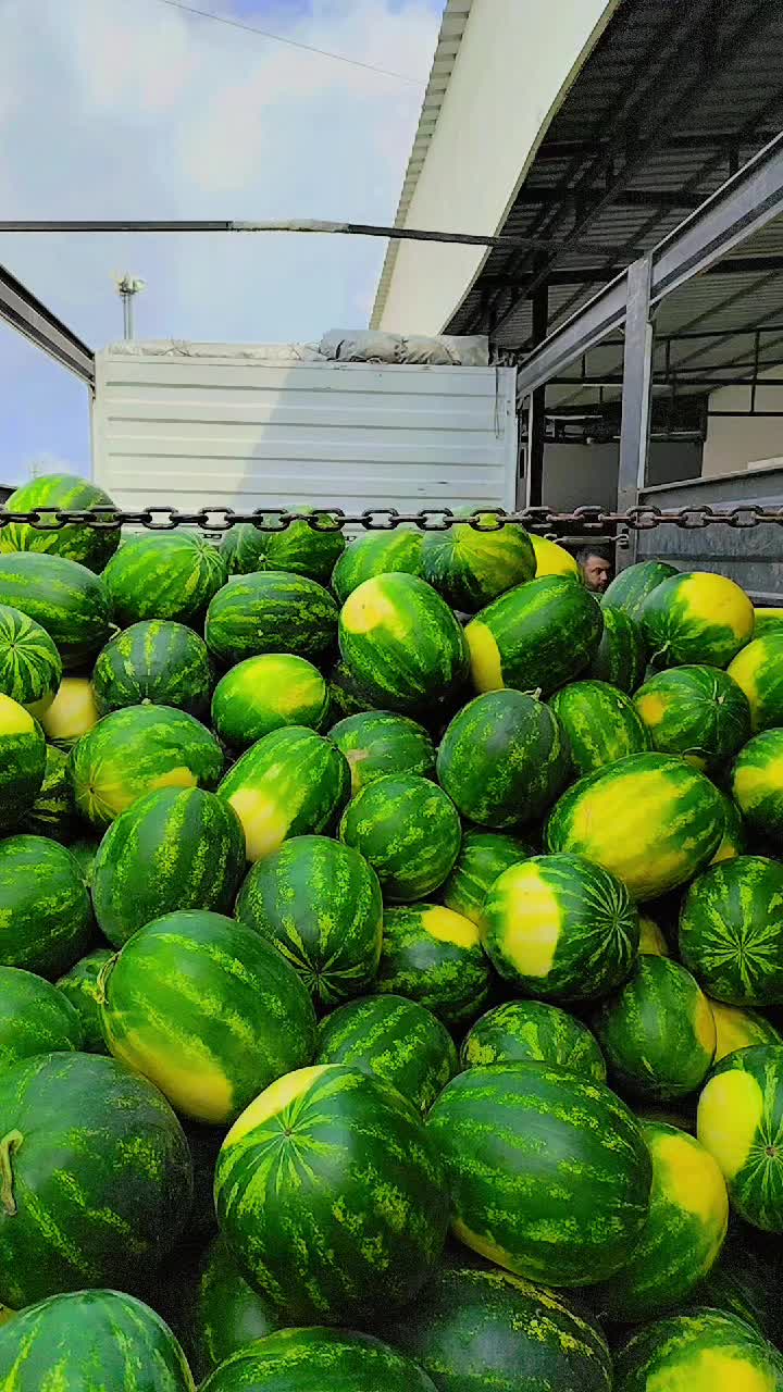 @Fırat7373