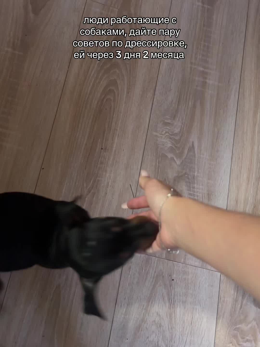 @lilpolinchik_🤍