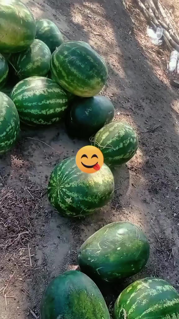 @โ๐
๐
๐
๐
๐
๐
โ