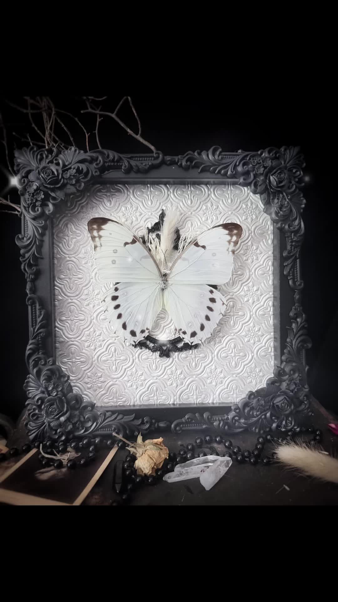 @🕯️Madame L&rsquo;s Art Oddities🕯️