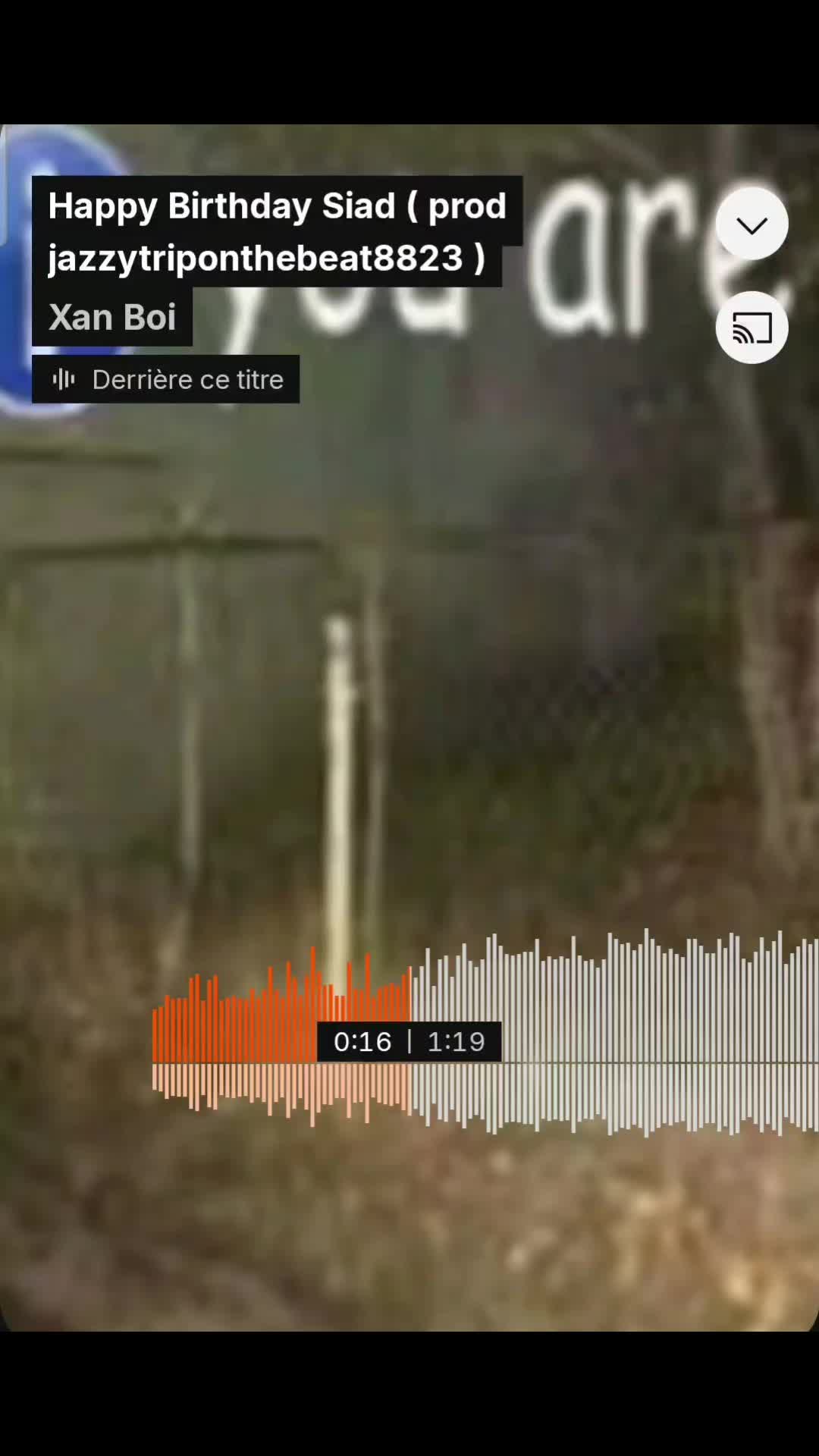 @xan boi