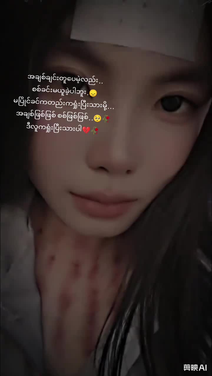 @xin xin