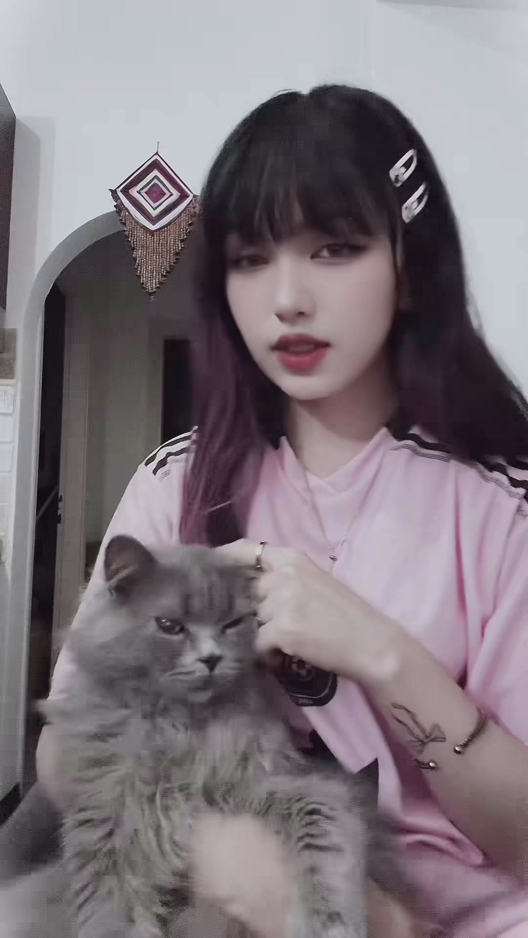 @𓆩⋆𝑴𝒂𝒉𝒊⋆𓆪