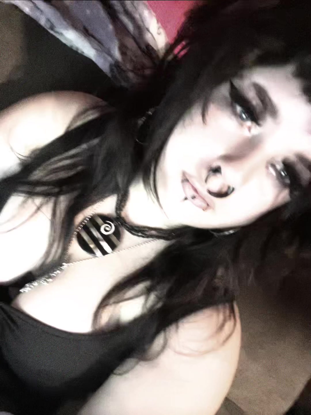 @🦇 HAVEN 🦇