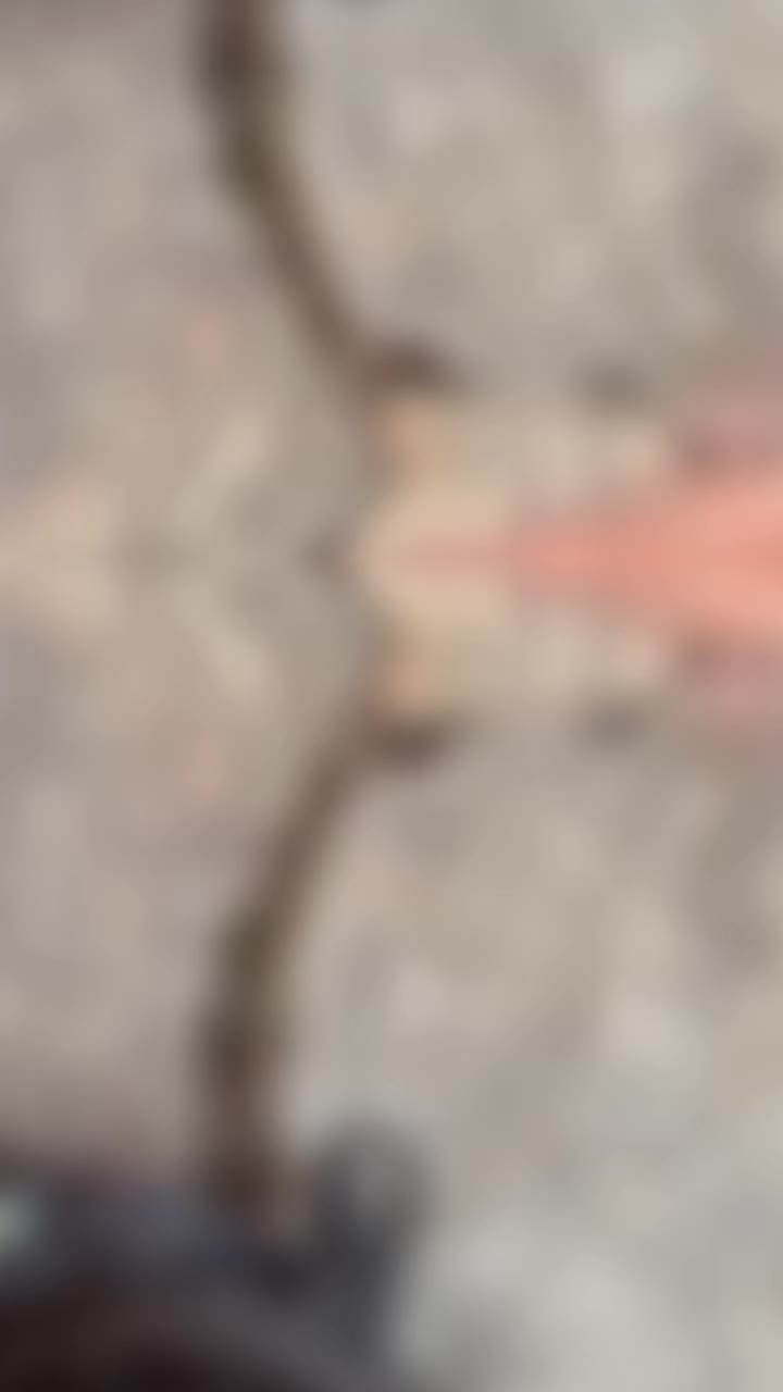 @Äřmåň ďřẽåm ċħǎšẽř