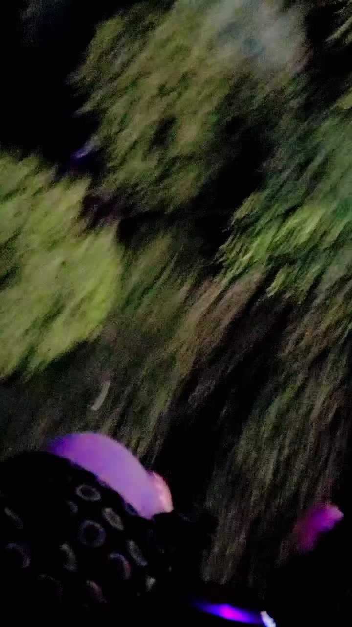 @✨𝓢𝓪𝓷𝓮𝓱𝓪 𝓜𝓪𝓵𝓲𝓴✨