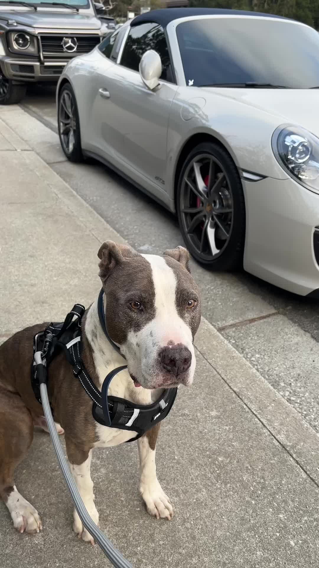 @caponethepitty