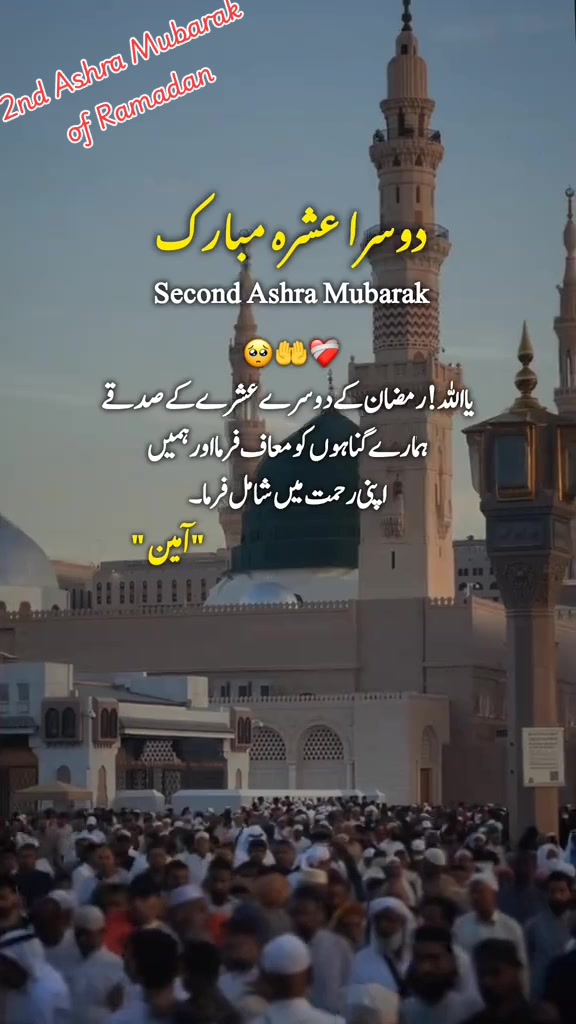 @Khichi786✅