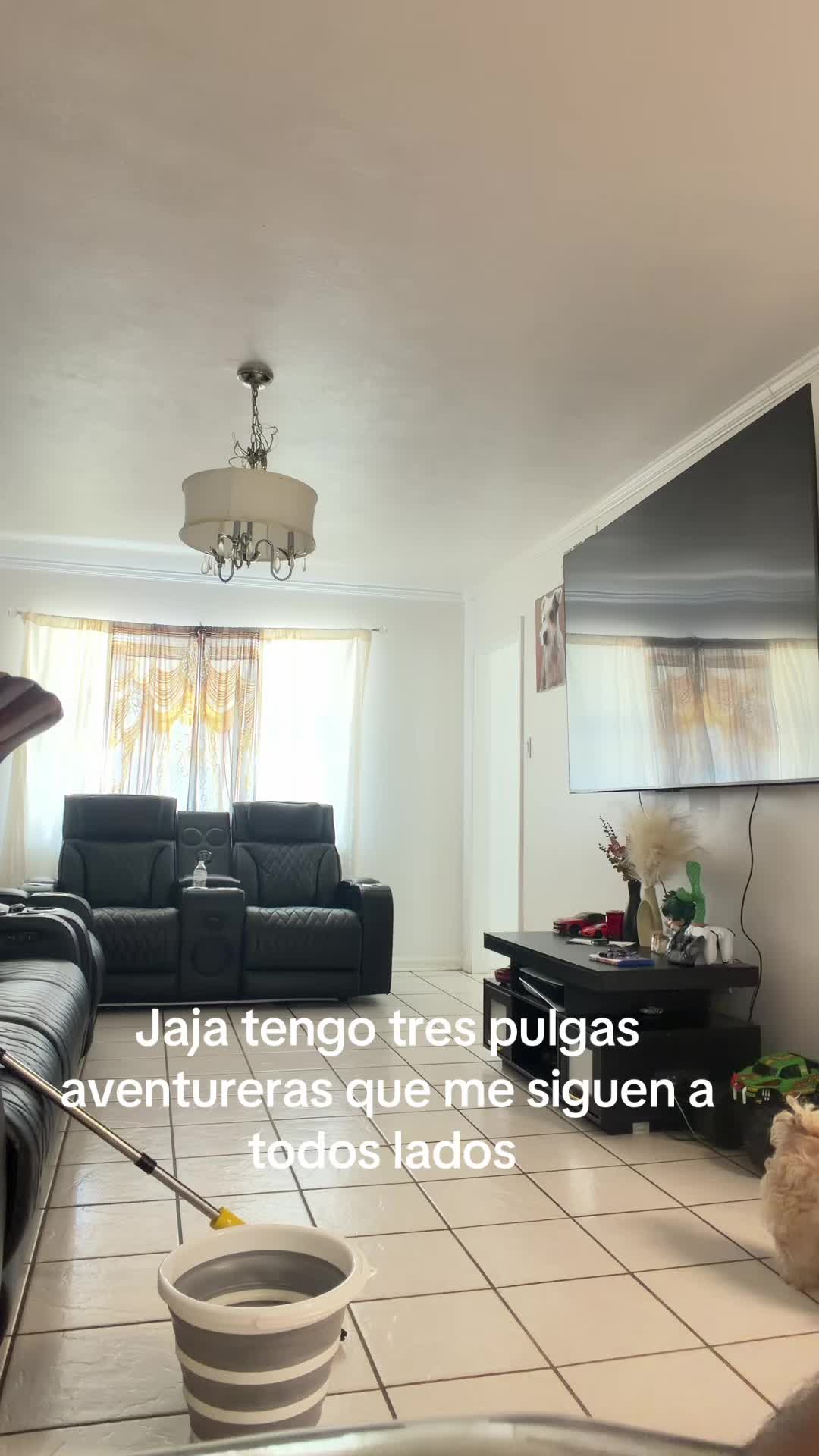 @Mejia lily