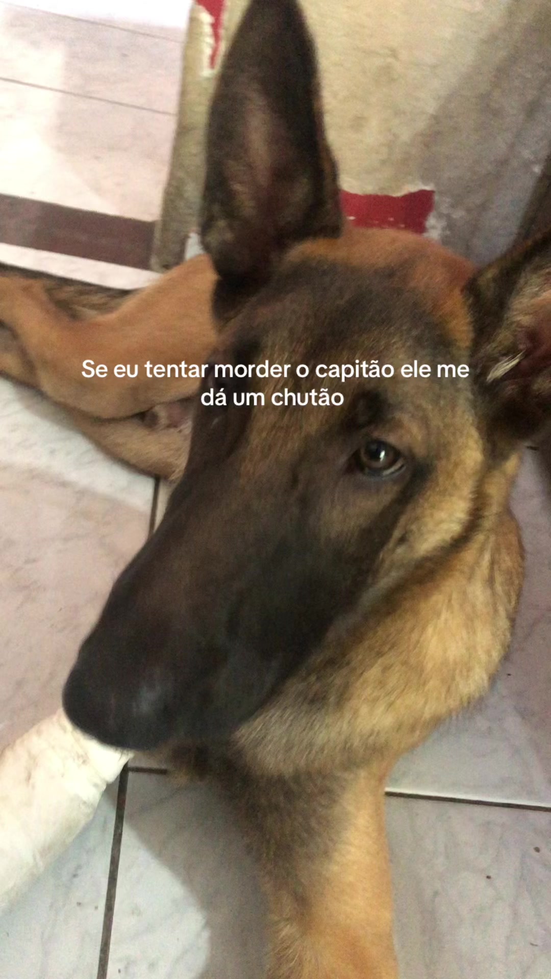 @Pᥱ́r᥆ᥣᥲ ᥱ ᥴᥲριtᥲ̃᥆