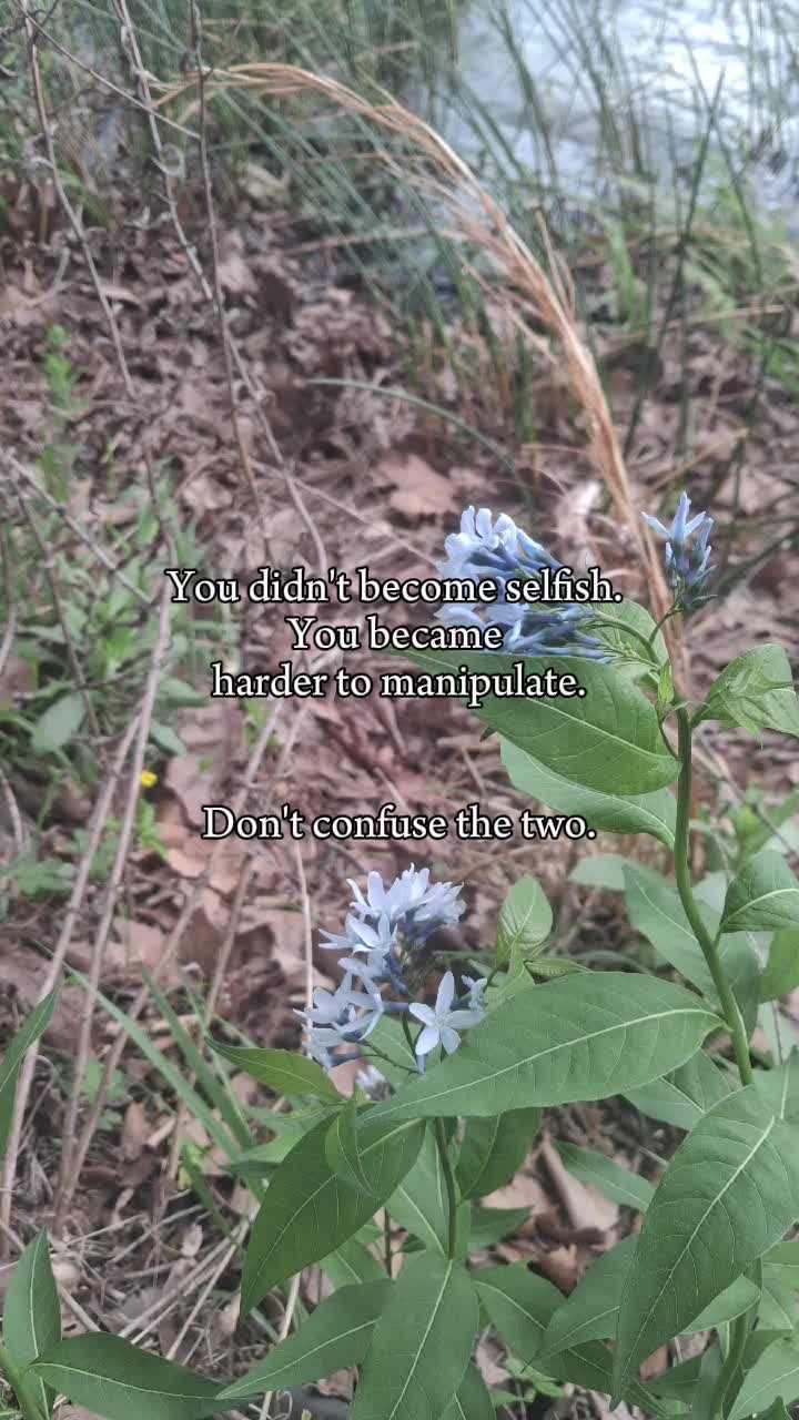 @Manda K