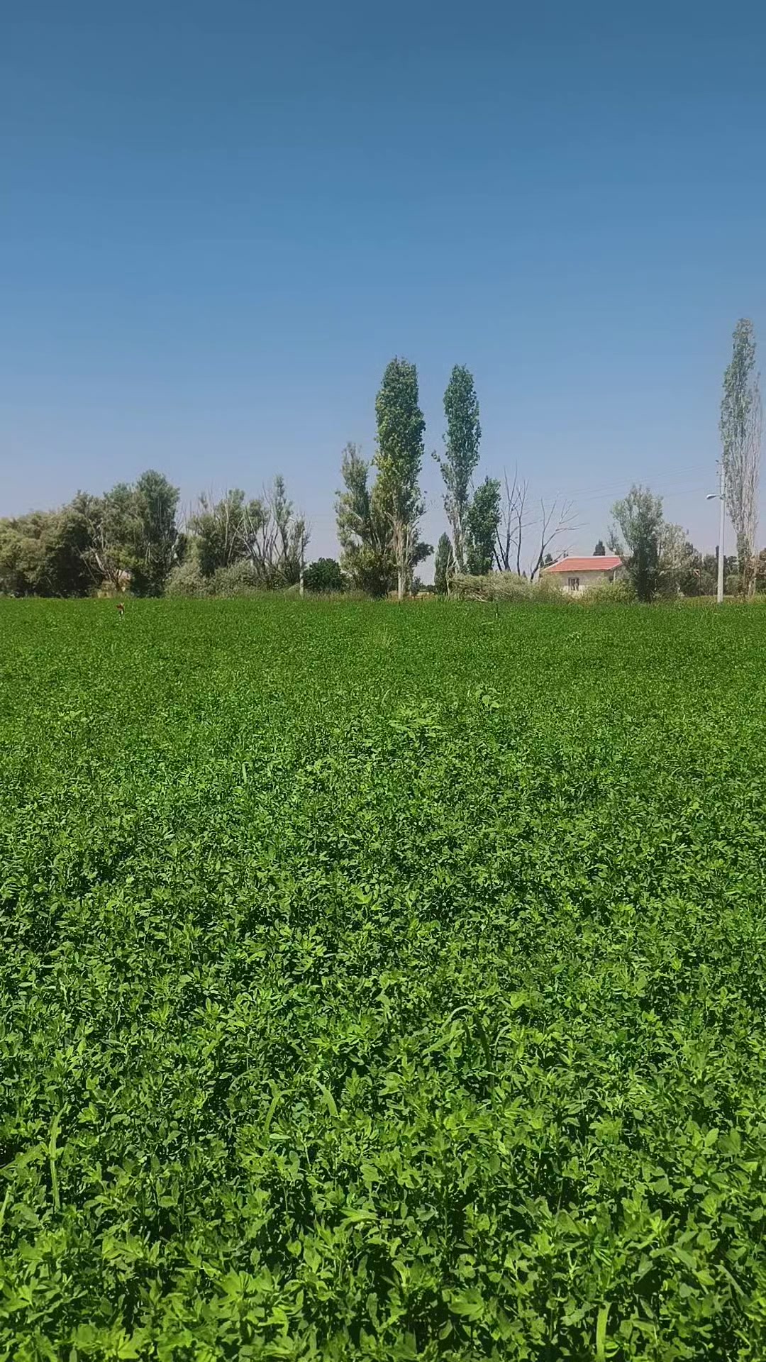 @Bir kelebek 🦋 misali ömrüm