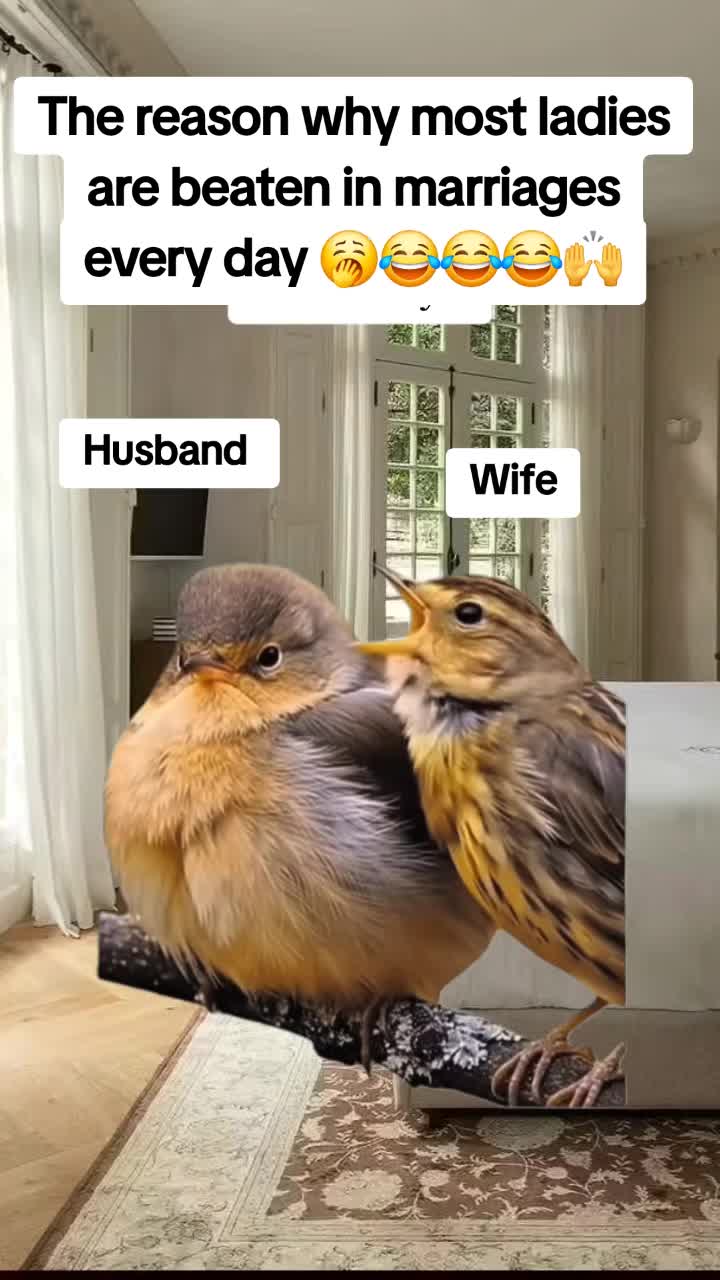 @Miss Vibez ๐ค๐๐