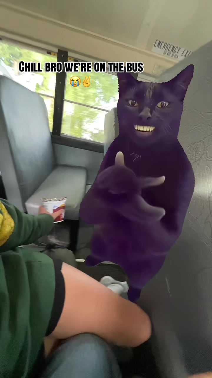 @•⋆. 𐙚 ˚꒰ 𝘴𝘰𝘧𝘦 ꒱ •.¸¸☆*