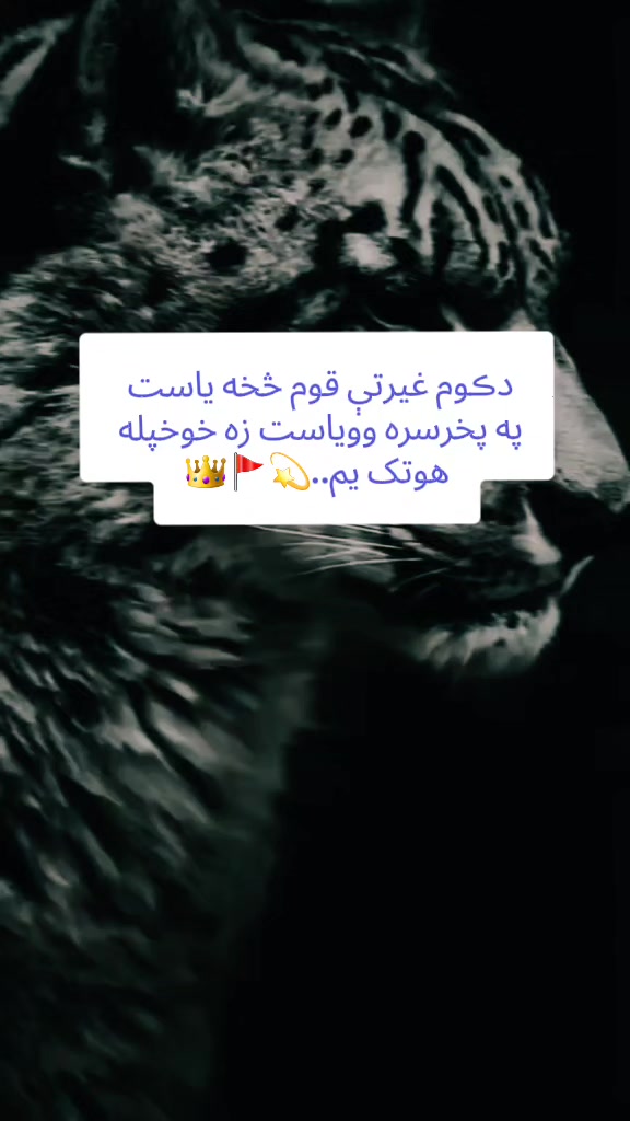 @𝄞⃝🧸 ســاحــلــوو 🖤🍫