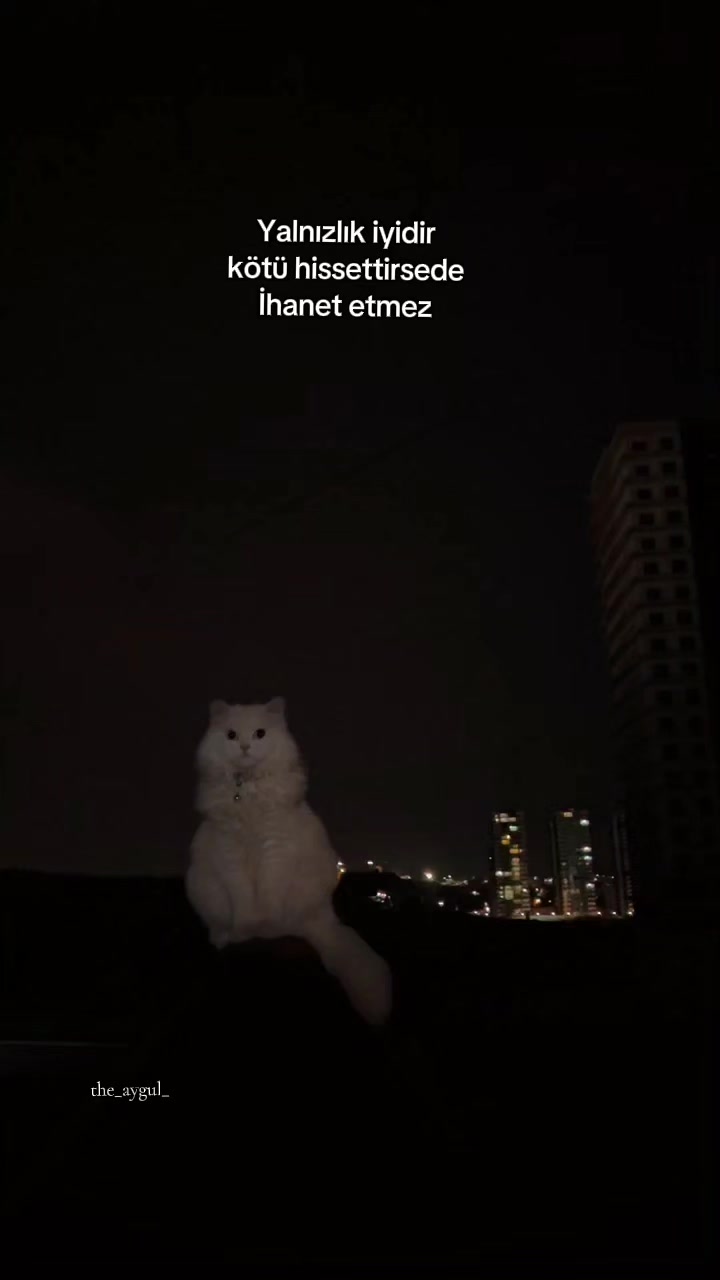 @️