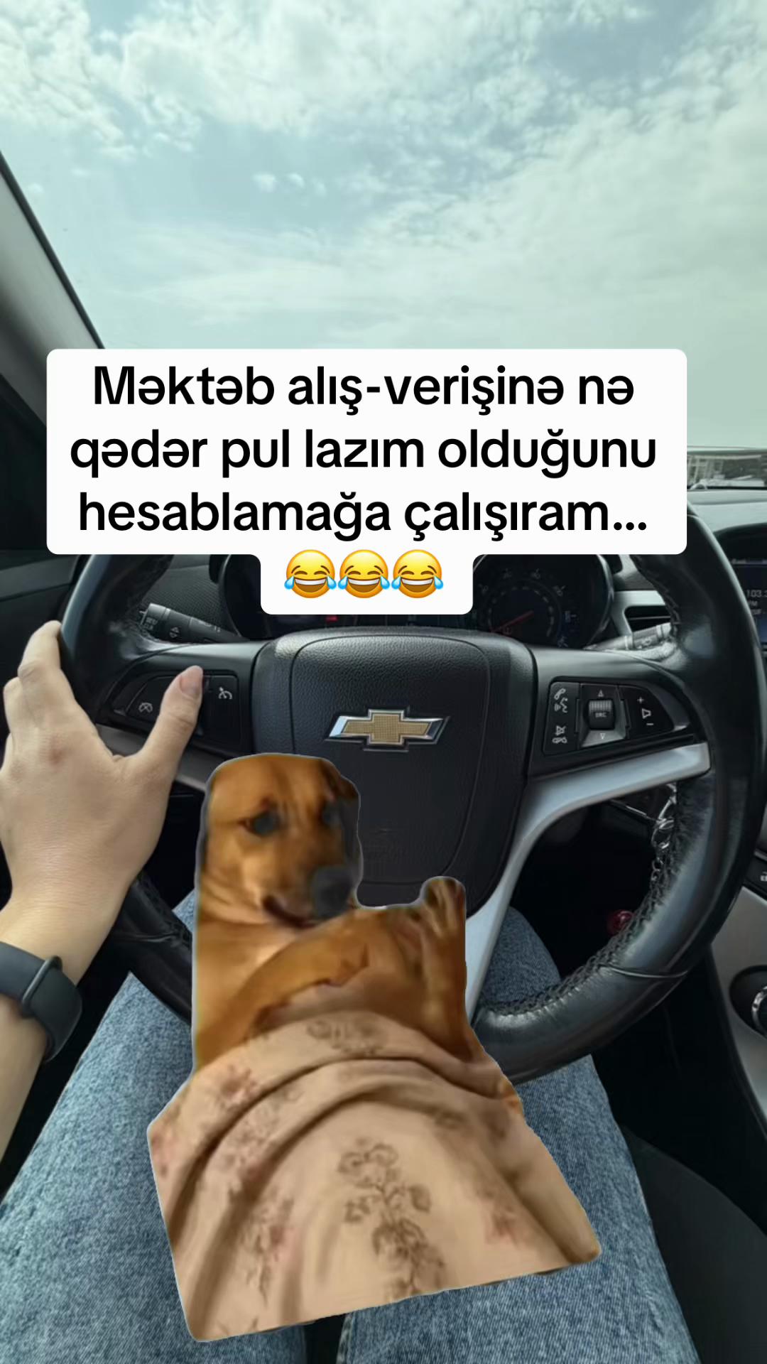 @İrade Hacieli