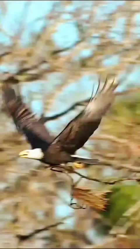 @Along30
