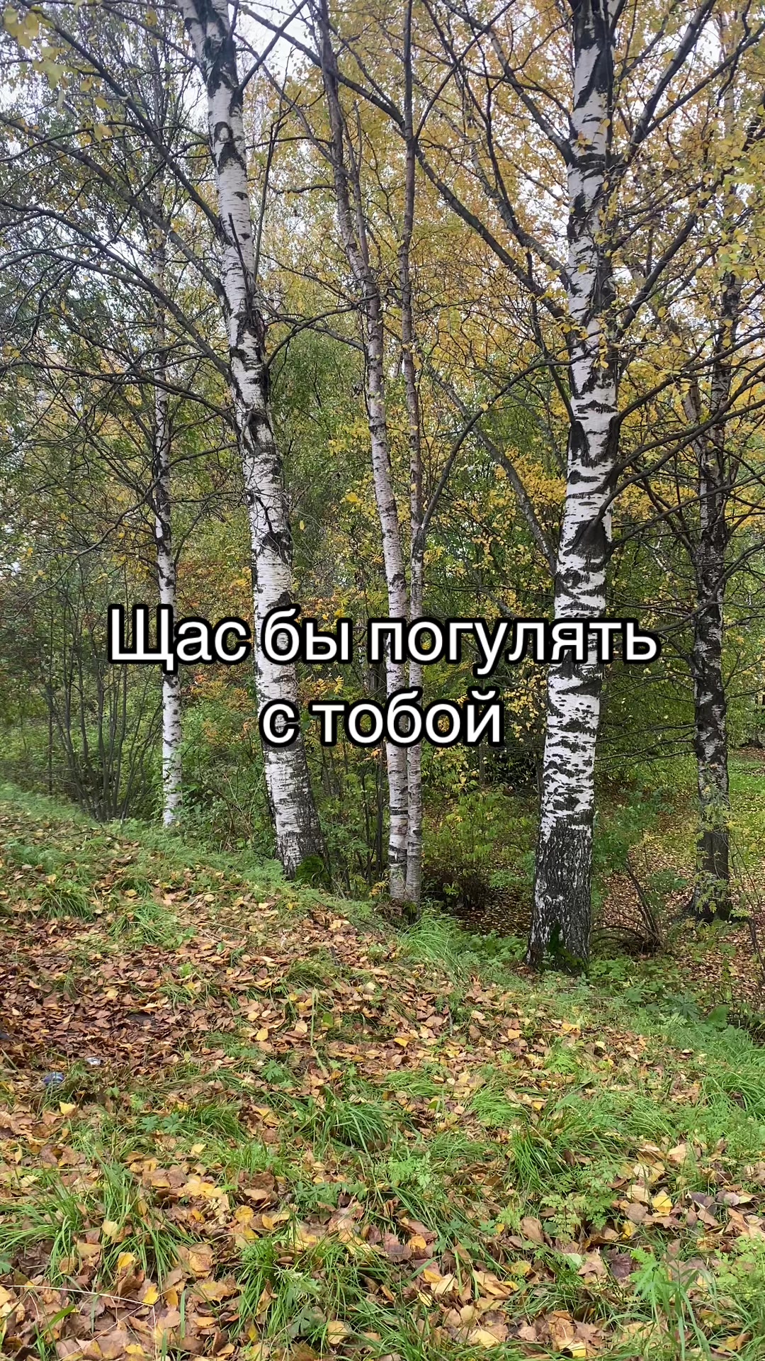 @Данил
