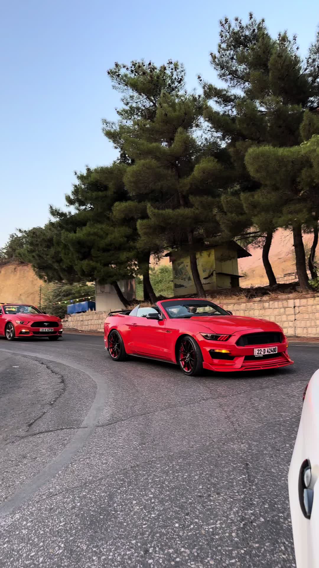 @DARO MUSTANG 🐎