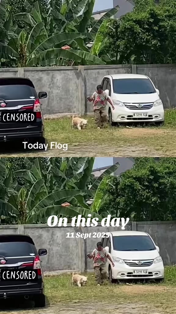 @momof_six