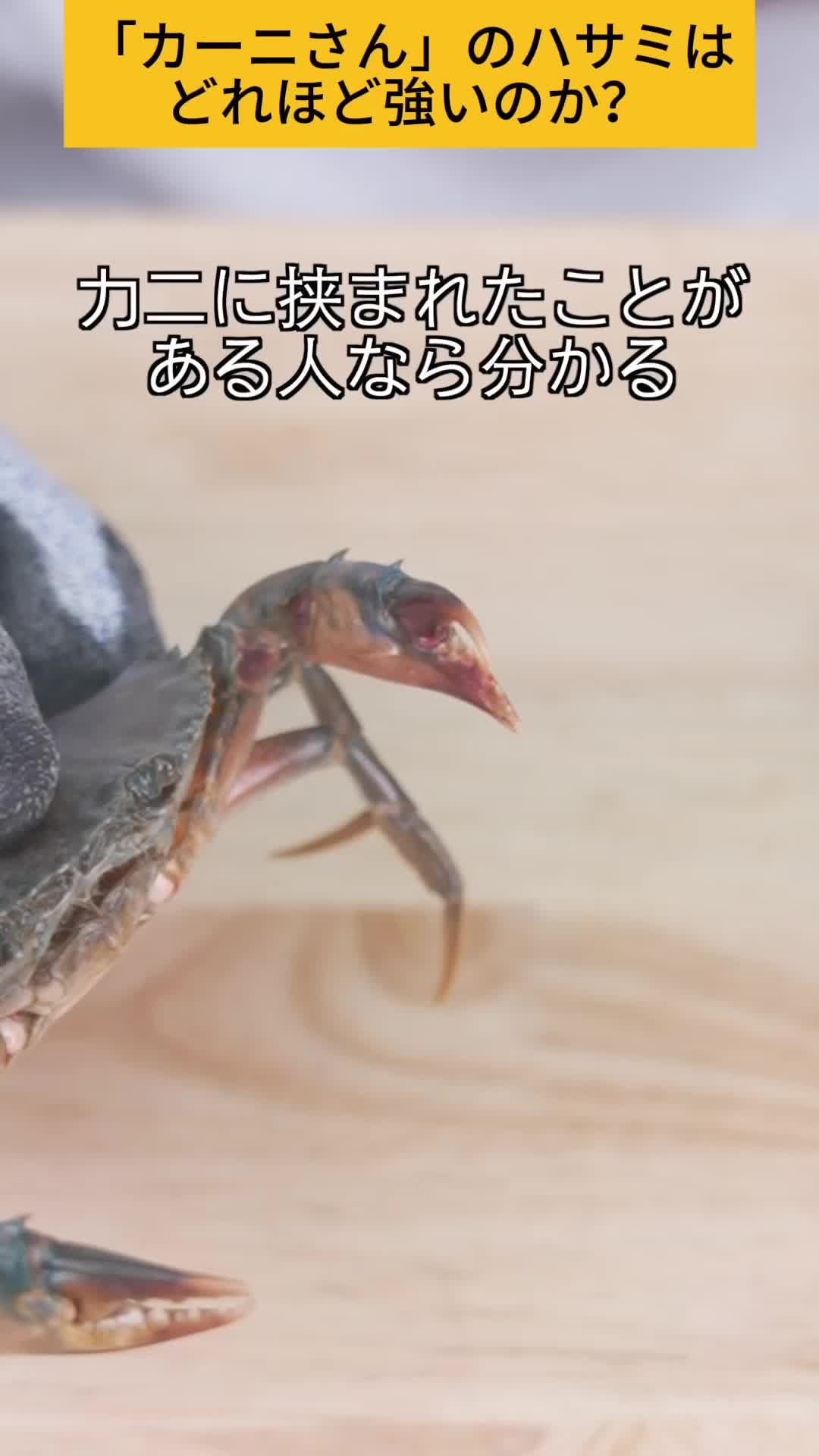 @tahoasyu8