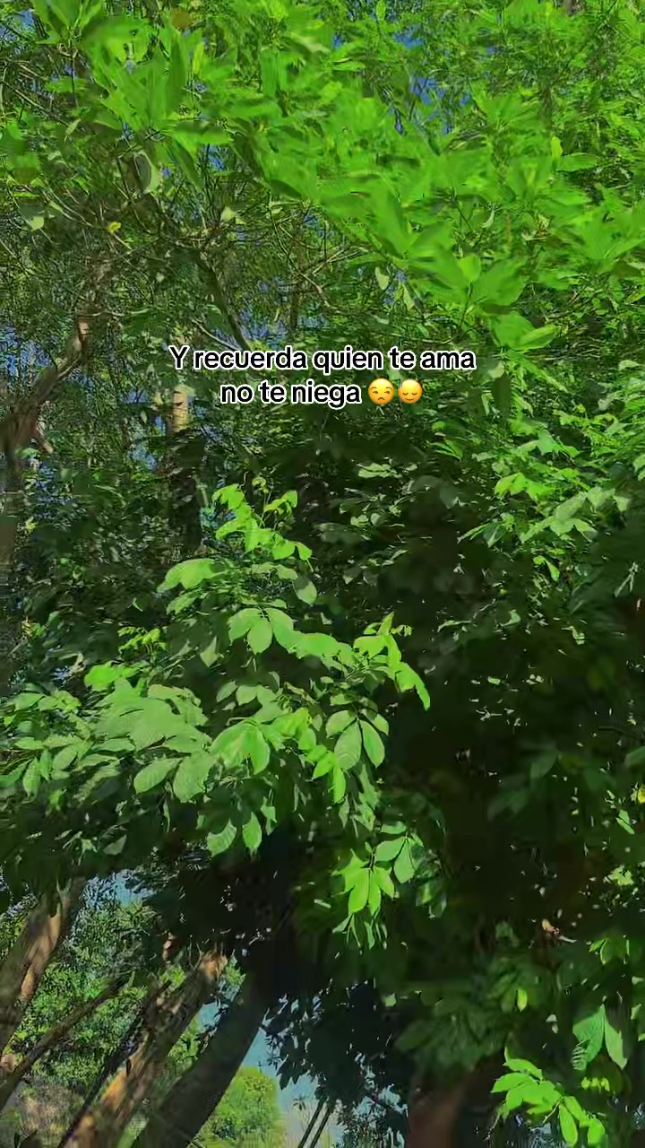 @Tu chaparra 🤷♀️❤️🩹