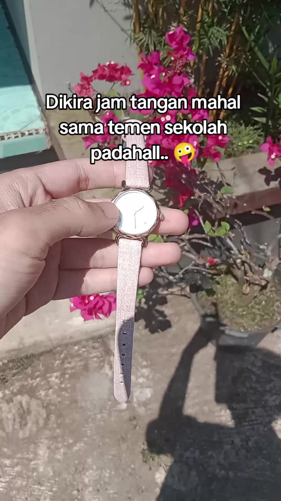 @S-tetik 🛒