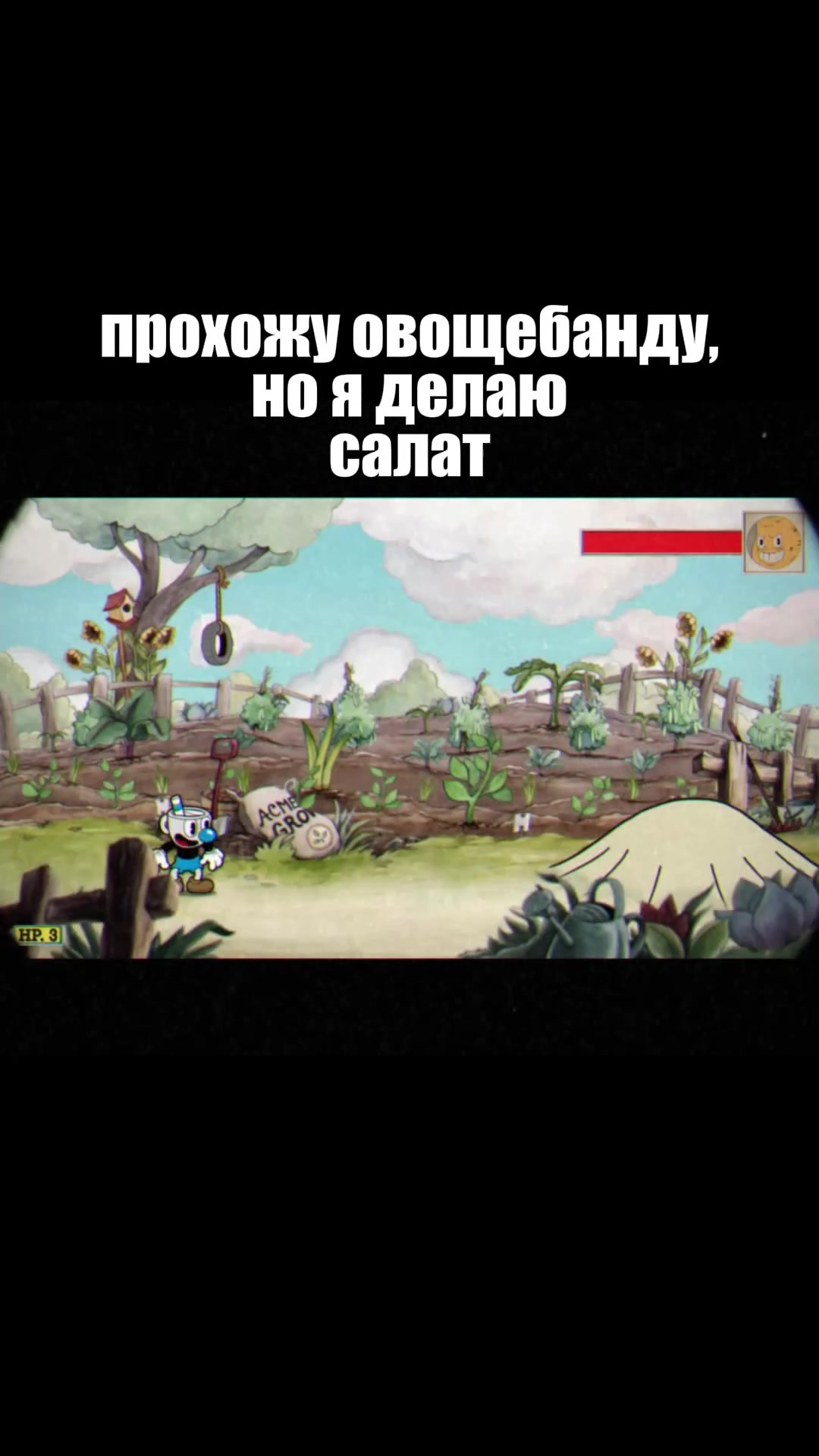 @mangobird_abobik