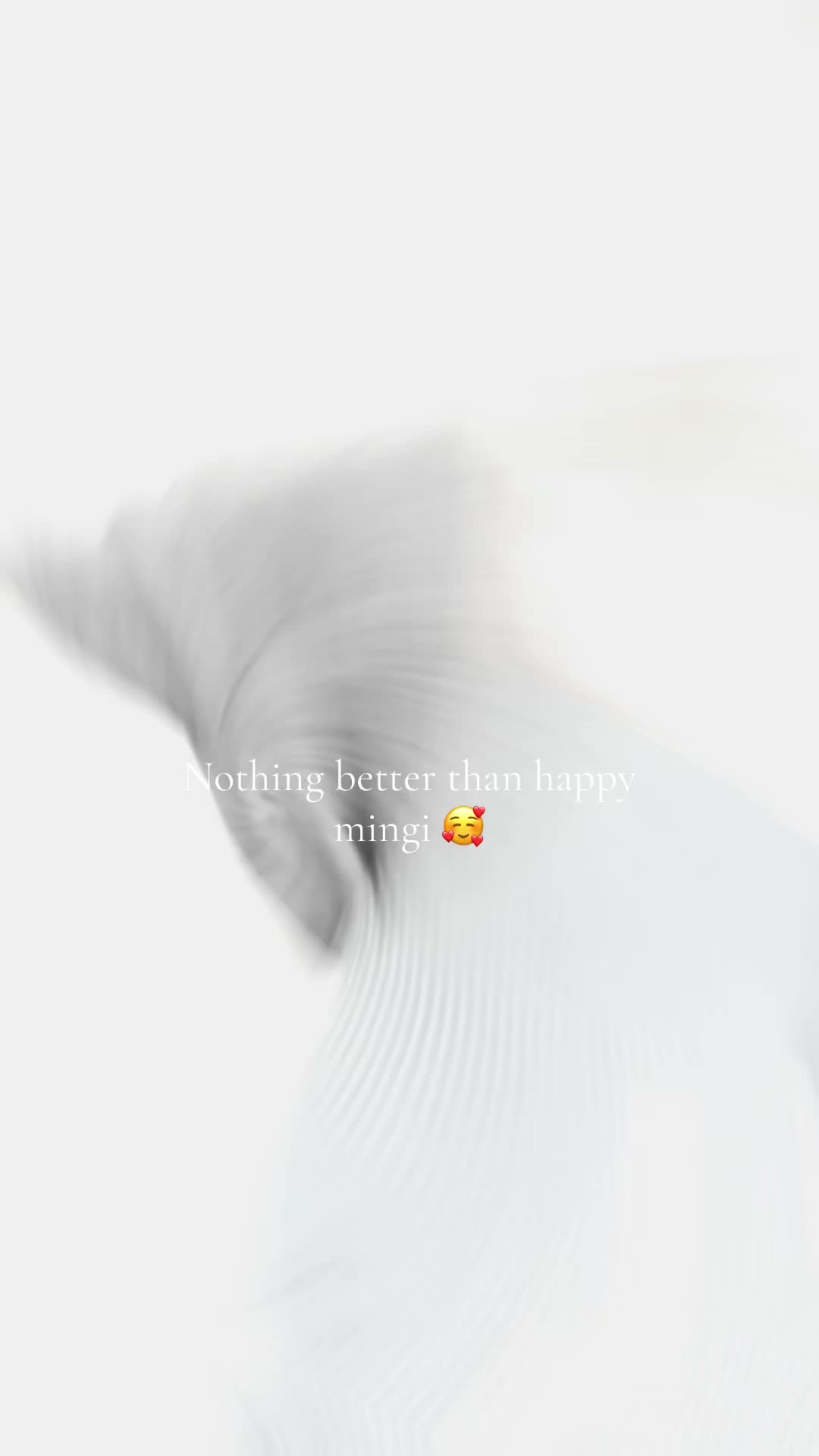 @๐ฅ๐๐๐ ๐ดโ ๏ธ๐ฅ