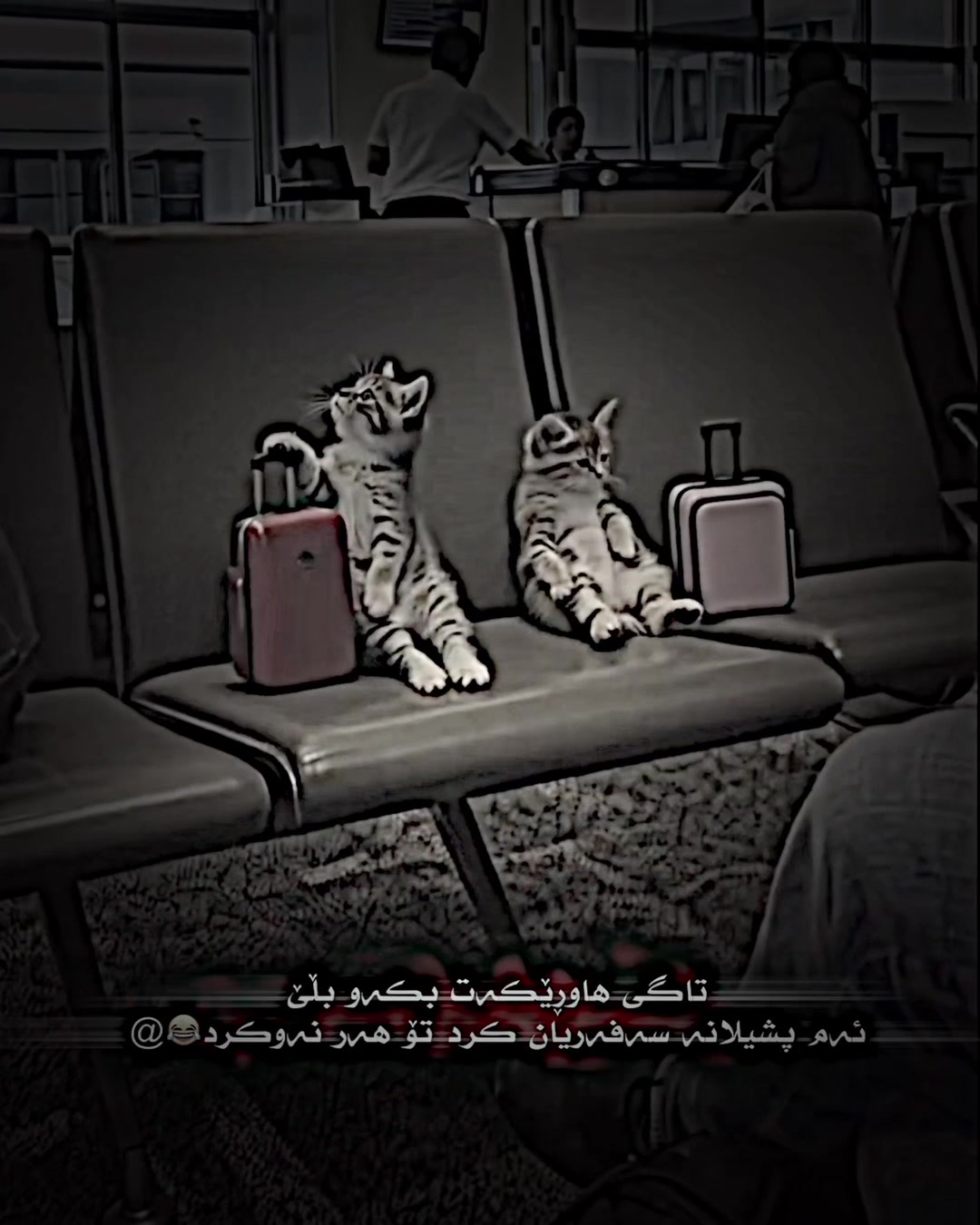 @7amay_tiktok5
