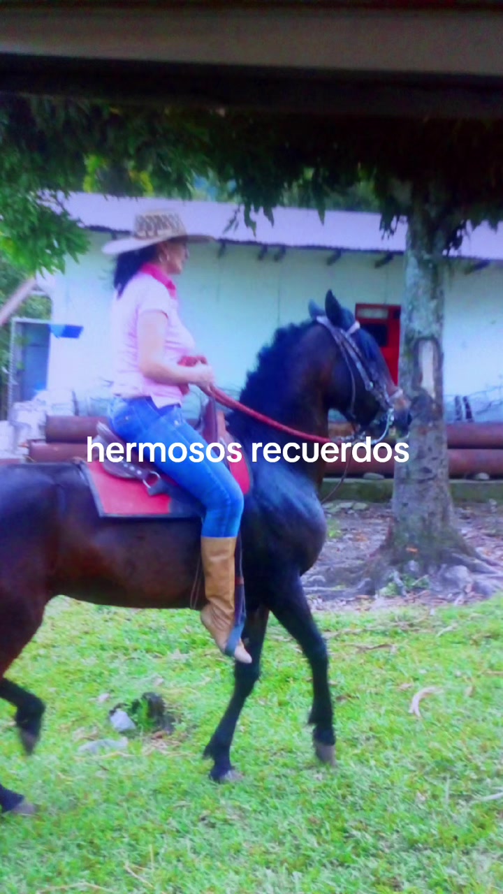 @sandyaperez70