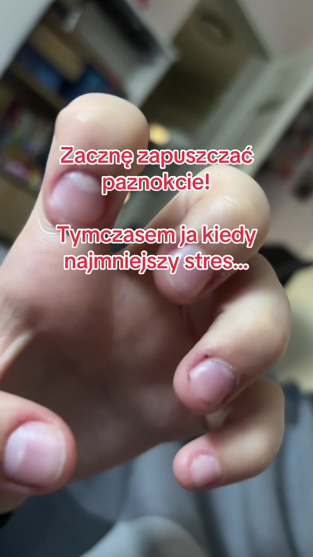 @🕊️🦓🪰