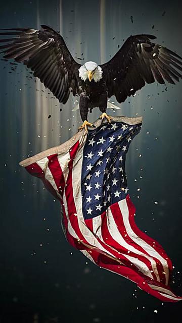 @golden 🇺🇸 pure 🇺🇸