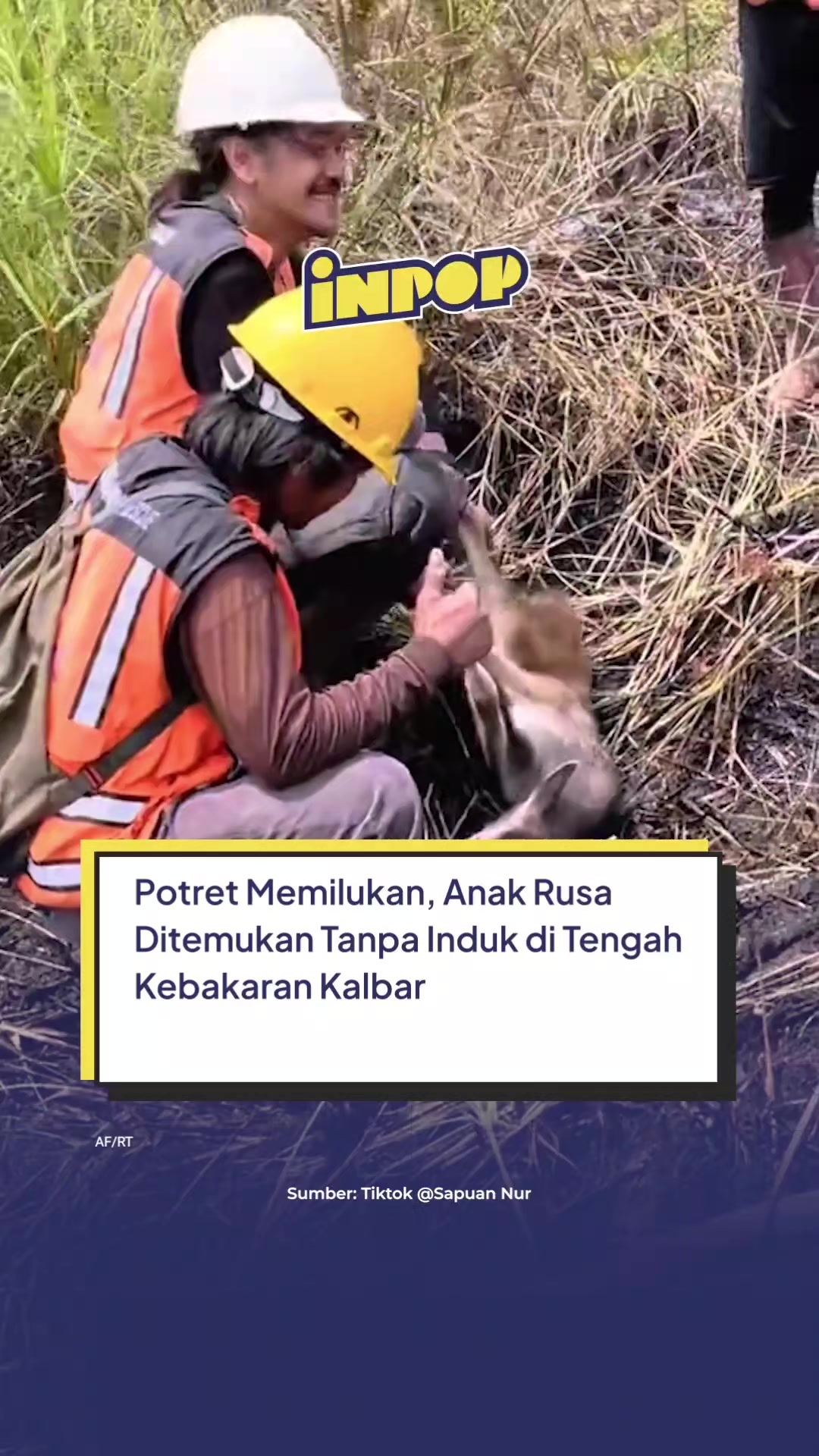 @inpopmedia