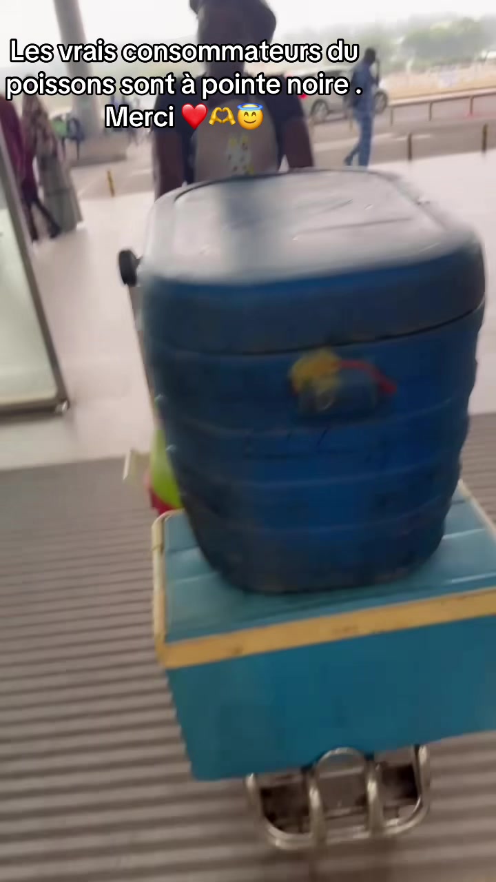 @Danicia la Poissonnière🐠🇨🇬